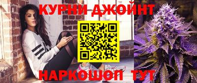 шишки Славгород