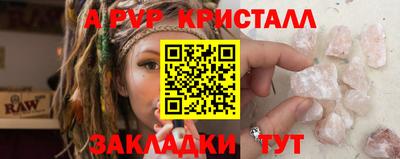шишки Славгород