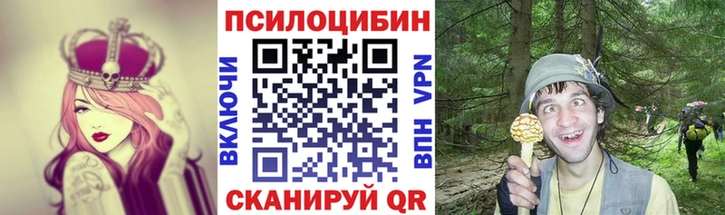 Псилоцибиновые грибы Cubensis  Строитель 