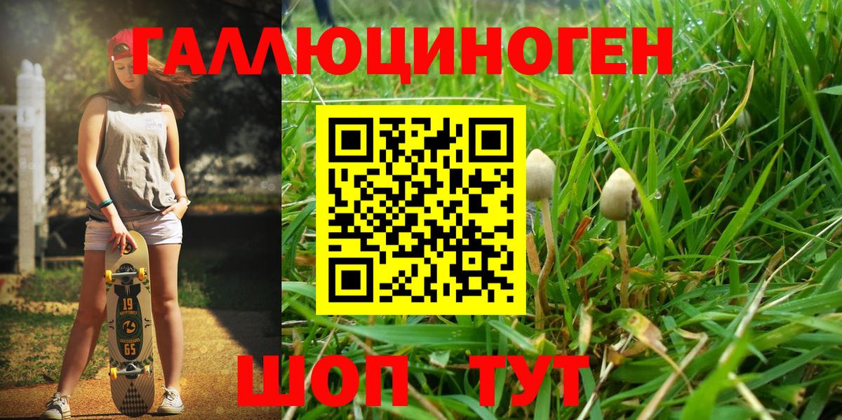Псилоцибиновые грибы Magic Shrooms  Вход с VPN  Строитель 